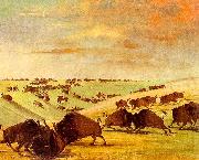 Buffalo Bulls Fighting in Running Season-Upper Missouri George Catlin